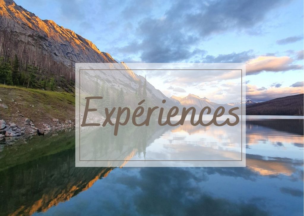 accueil-experiences